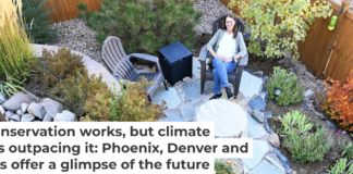 The Denver suburb of Castle Rock, Colo., limits water use in future developments. Homeowners are embracing water-efficient yards. RJ Sangosti/MediaNews Group/The Denver Post via Getty Images